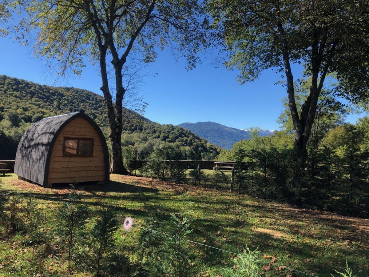 Pyrenees Emotions, Eco-Responsables, Nature, Sports Aventures Malvezie Exterior photo